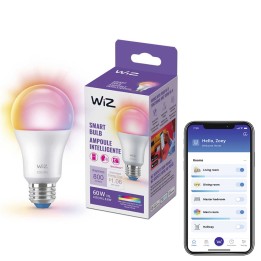 WIZ 8.8A19/WI-FI BLE COLOR/922-65 6/1PF