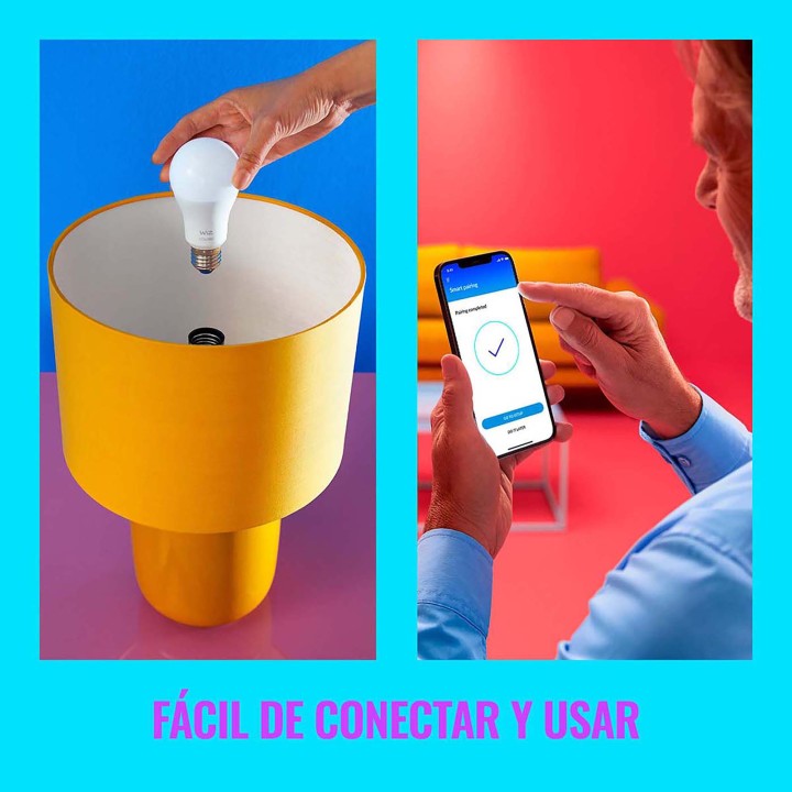 WIZ WI-FI BLE PORTABLE SQUIRE