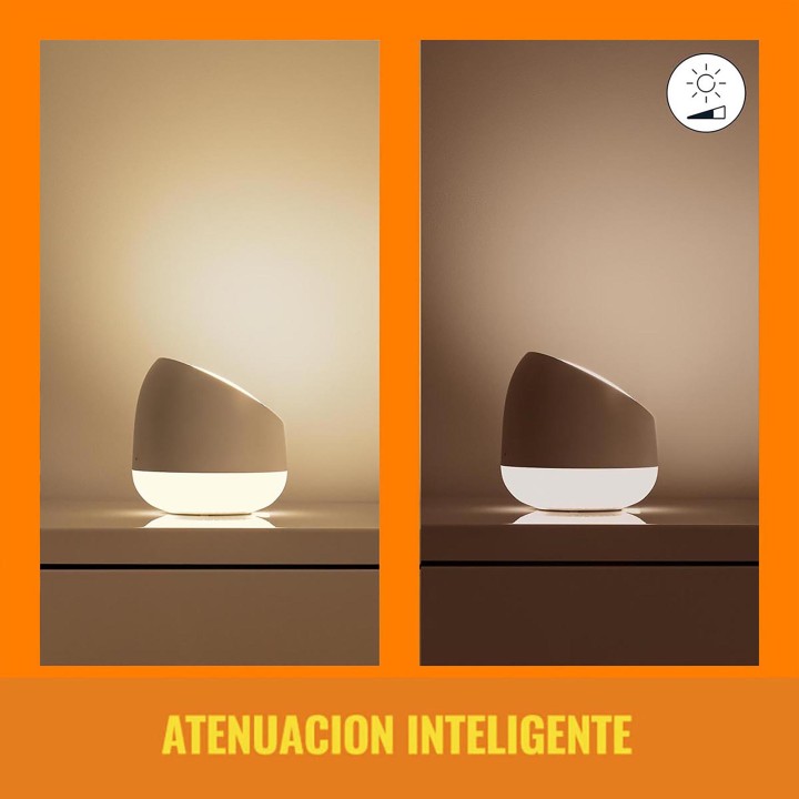WIZ WI-FI BLE PORTABLE SQUIRE